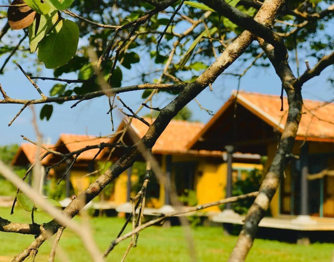 Kumbukgaha Villa Sigiriya Exteriér fotografie