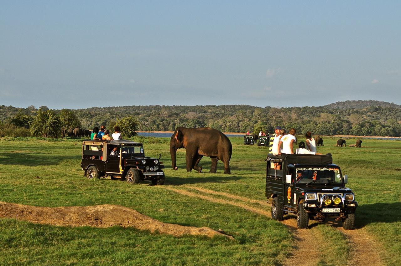 Kumbukgaha Villa Sigiriya Exteriér fotografie